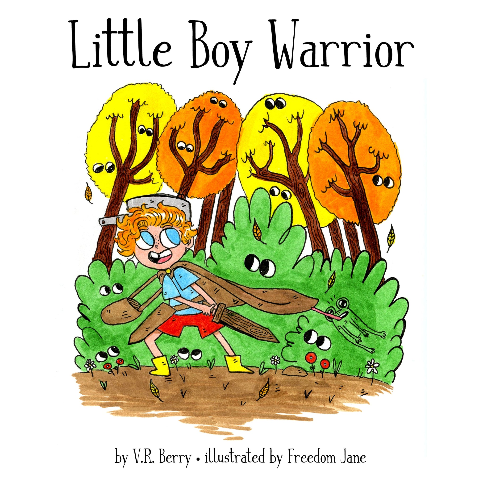 Little Boy Warrior Book